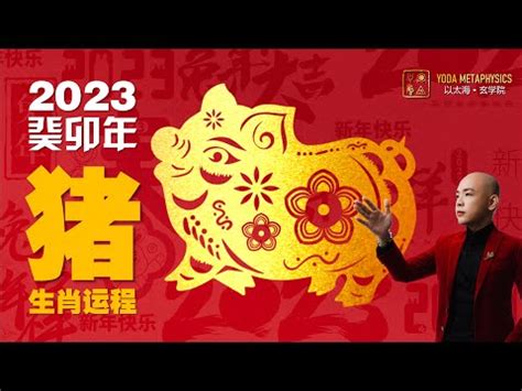 屬豬2023運勢|【2023豬運勢】2023豬運勢：福星高照，一路旺到年底！ 財運桃。